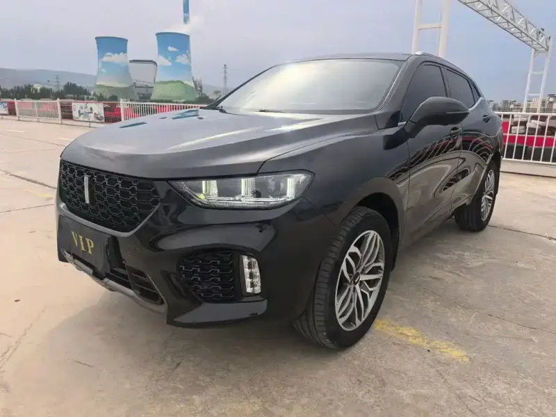 Wey VV5, 2019