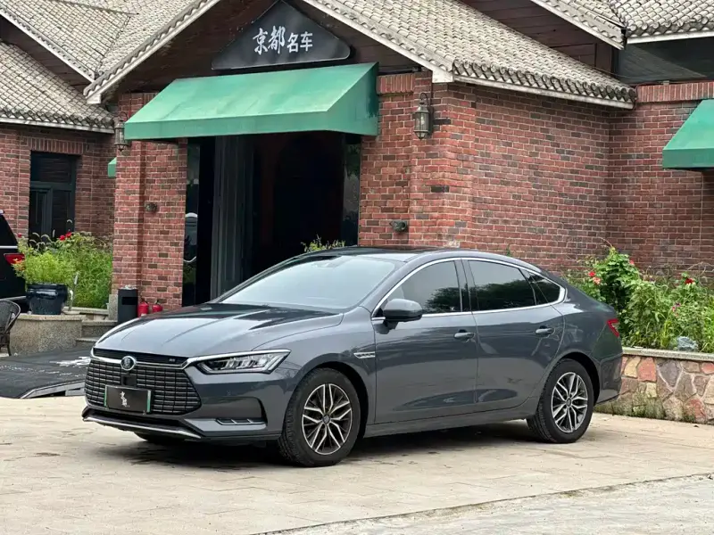 BYD Qin Pro NEV, 2019