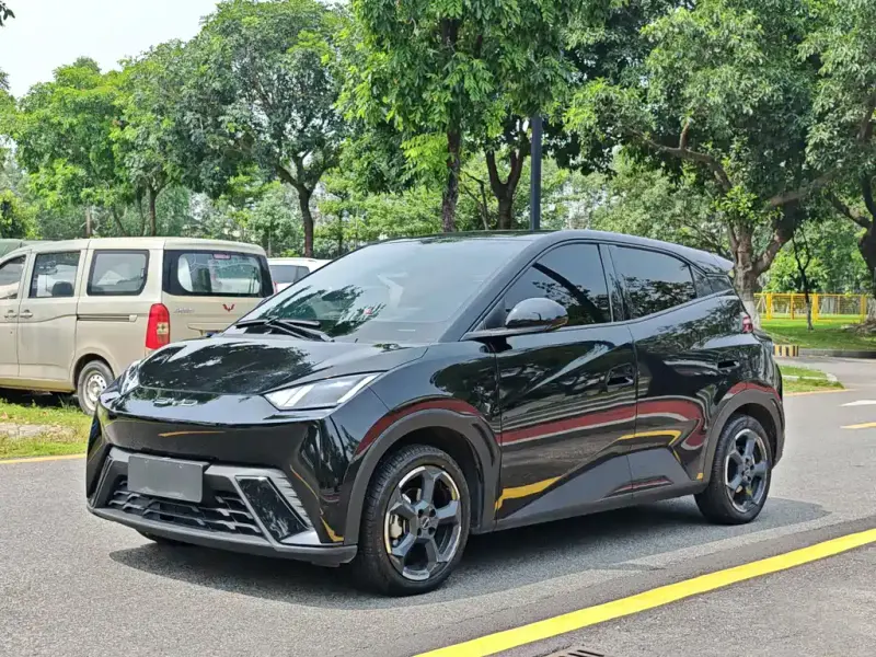 BYD Seagull, 2023