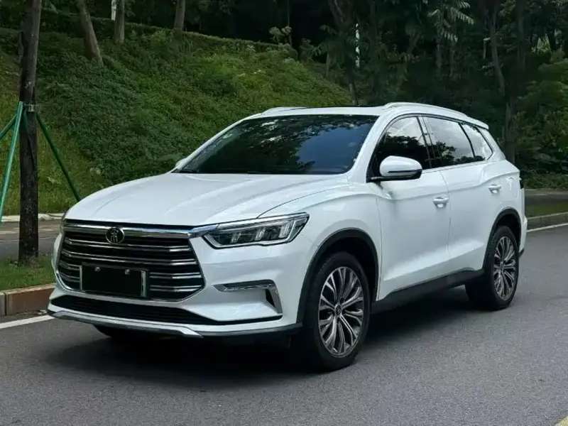 BYD Pro New Energy, 2019