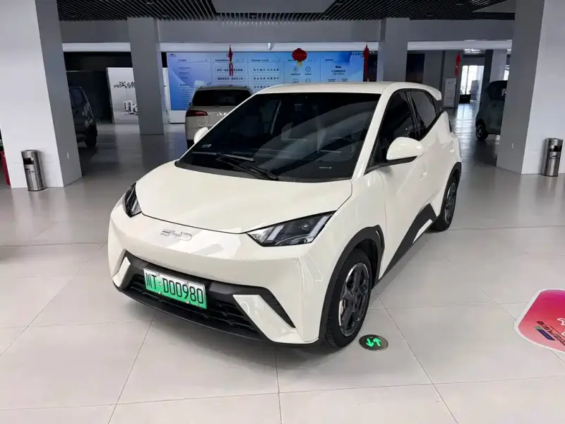 BYD Seagull, 2024