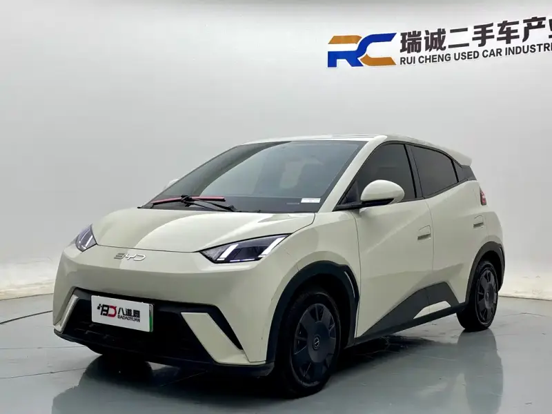 BYD Seagull, 2024