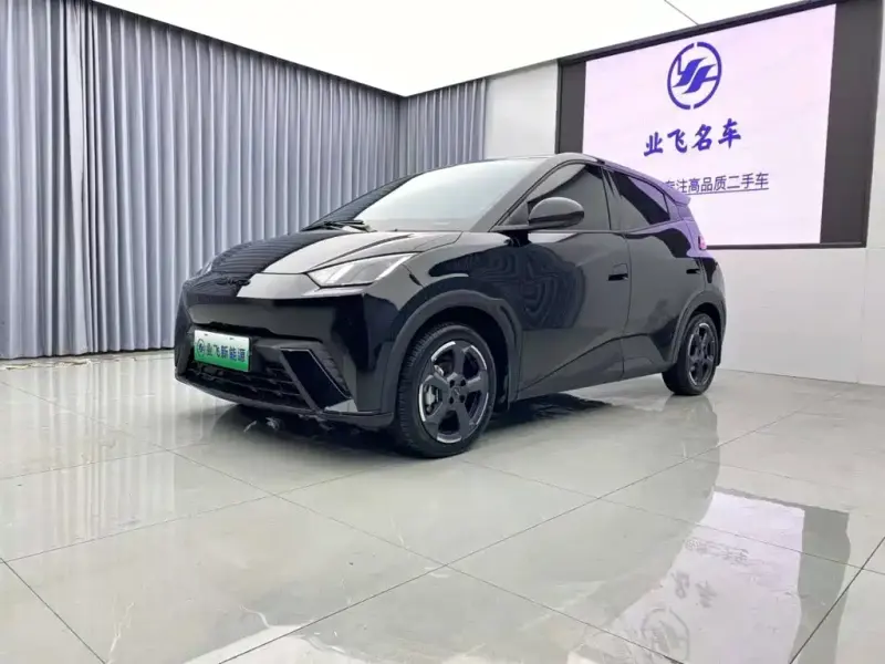 BYD Seagull, 2024