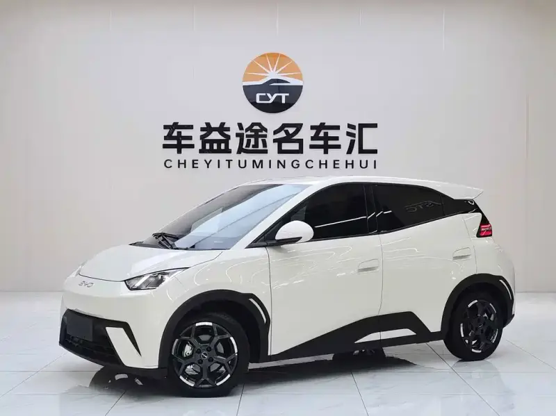 BYD Seagull, 2024