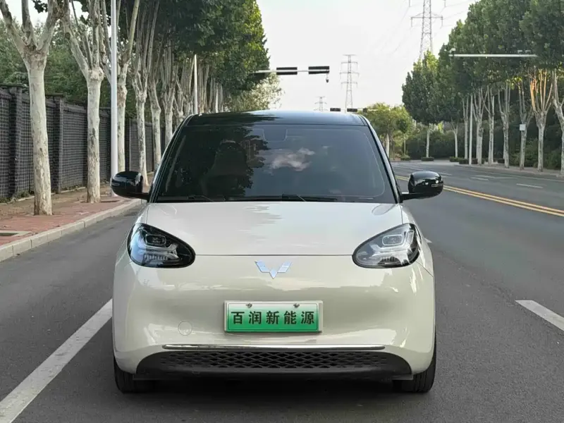 Wuling Bingo, 2024