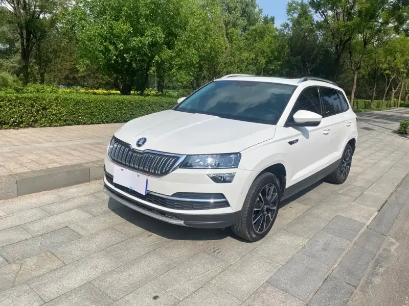 Skoda Karoq, 2019