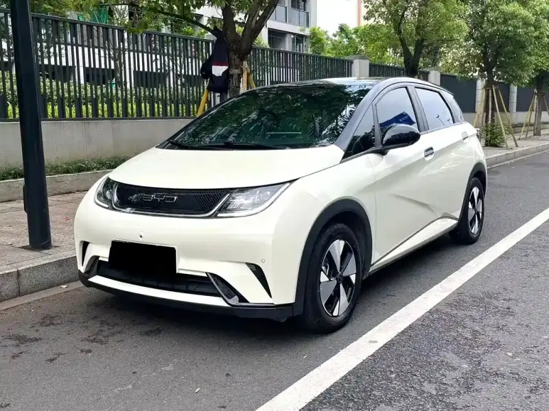BYD Dolphin, 2023