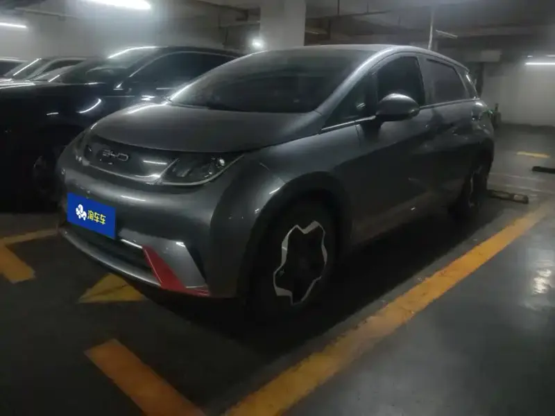 BYD Dolphin, 2022