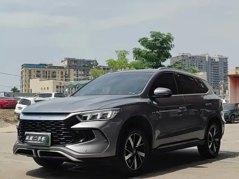 BYD Pro New Energy, 2023