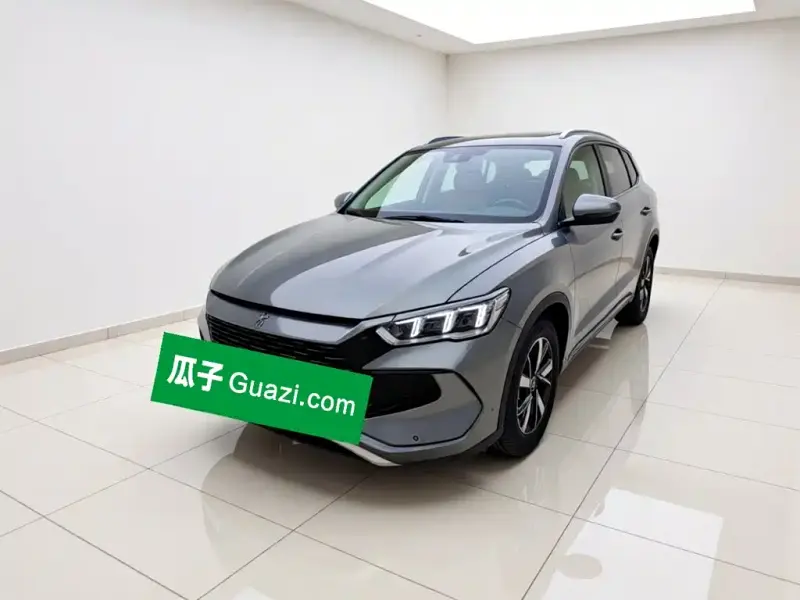 BYD Pro New Energy, 2024