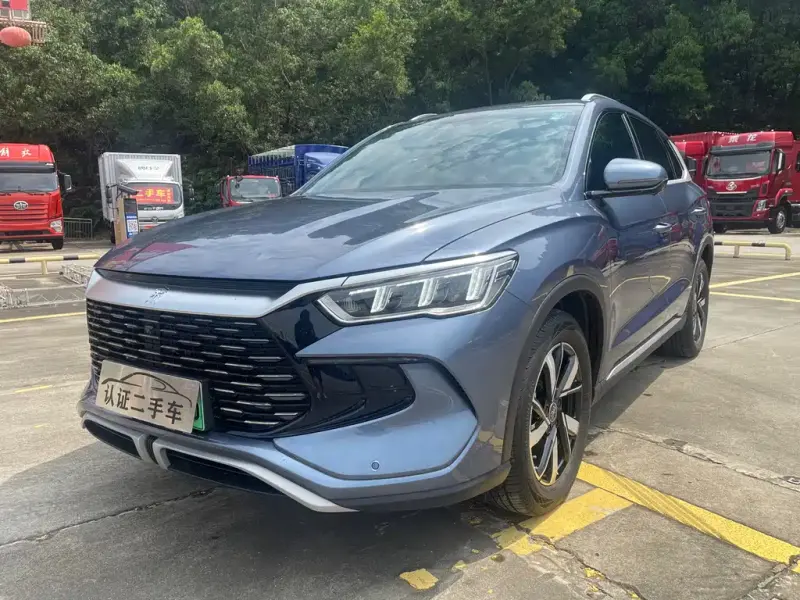 BYD Pro New Energy, 2023