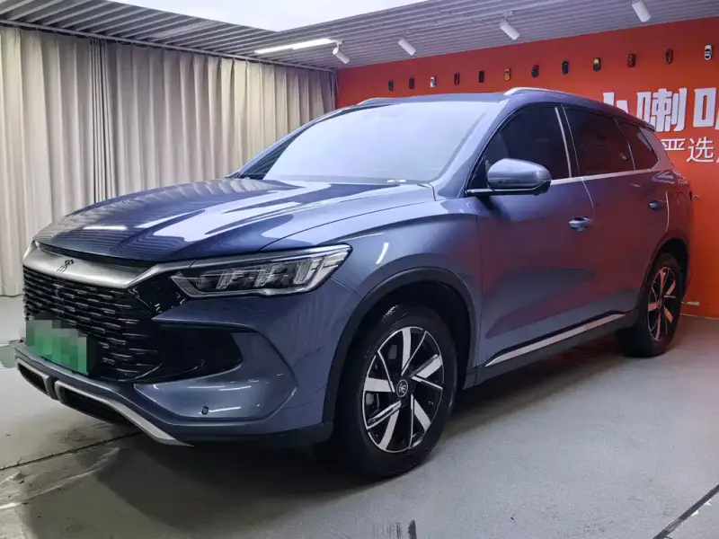 BYD Pro New Energy, 2024