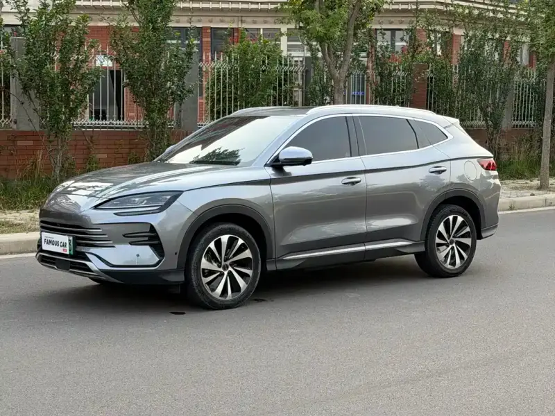 BYD PLUS New Energy, 2024