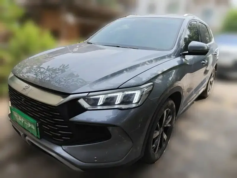 BYD Pro New Energy, 2024