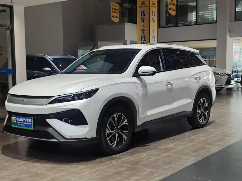 BYD Pro New Energy, 2025
