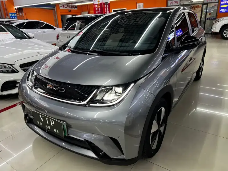 BYD Dolphin, 2024