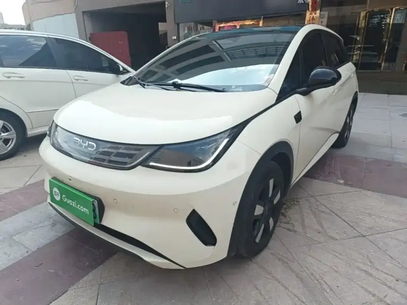 BYD Dolphin, 2025