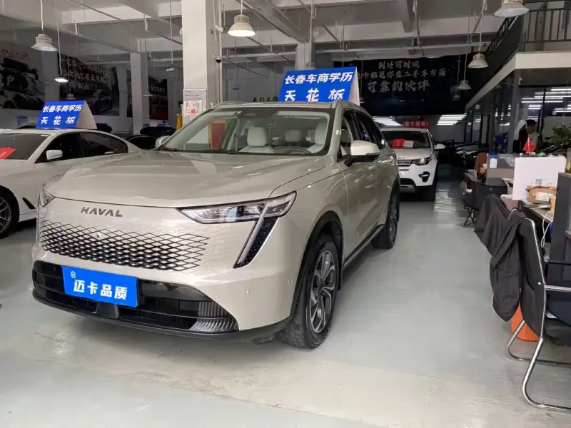Haval Xiaolong MAX, 2024