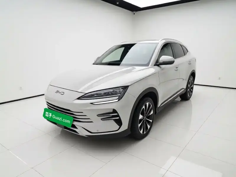 BYD PLUS New Energy, 2024