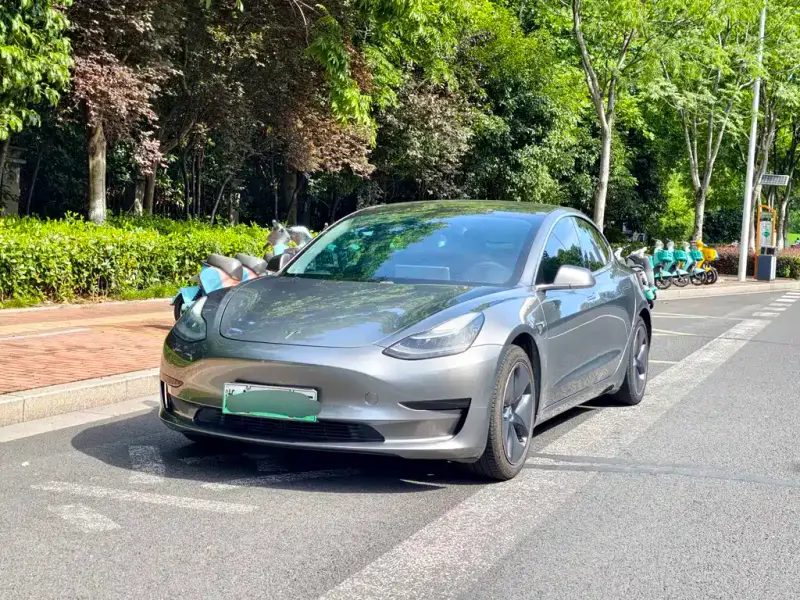 Tesla Model 3, 2020