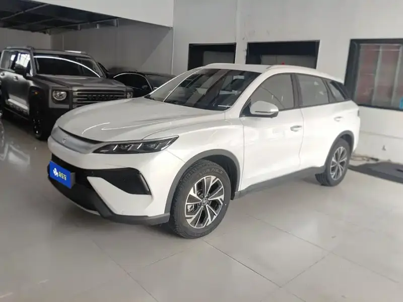 BYD Pro New Energy, 2026