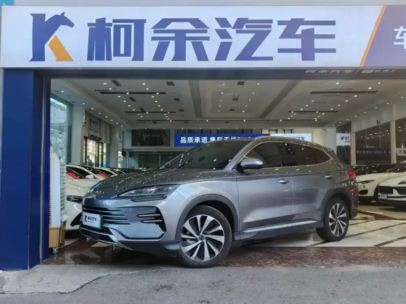 BYD PLUS New Energy, 2024