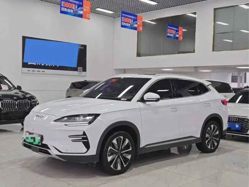 BYD PLUS New Energy, 2024