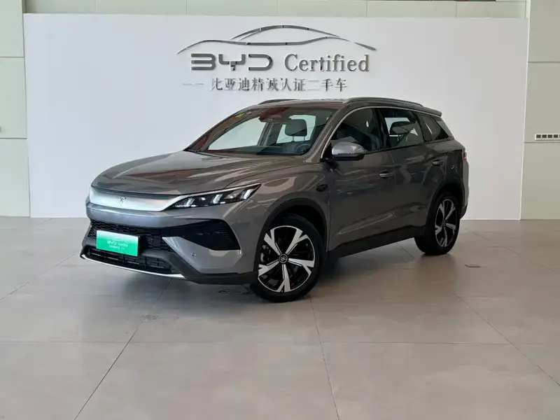 BYD Pro New Energy, 2025