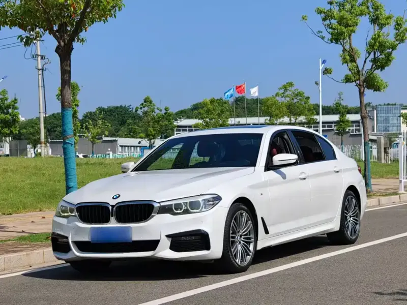 BMW 5 Series, 2019