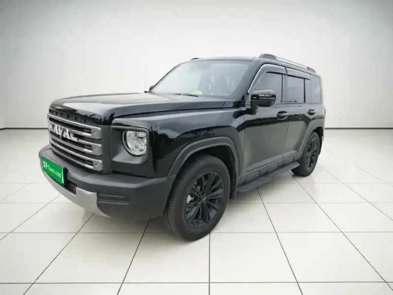 Haval Menglong New Energy, 2024