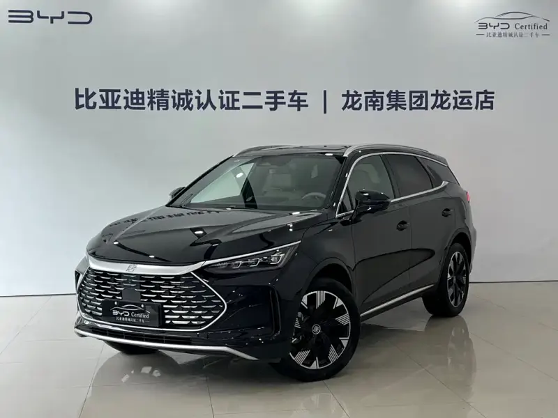 BYD Tang New Energy, 2024