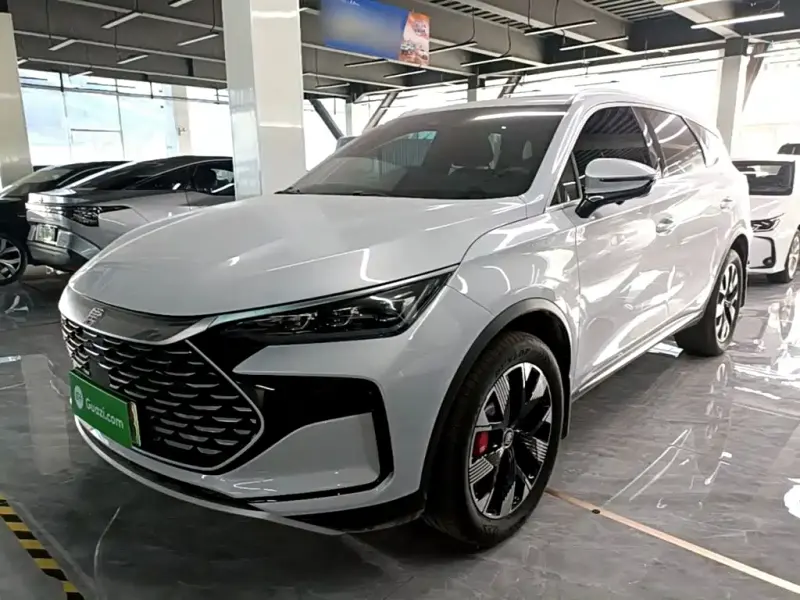 BYD Tang New Energy, 2024
