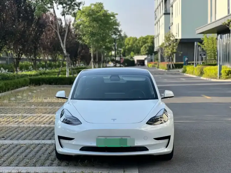 Tesla Model 3, 2021