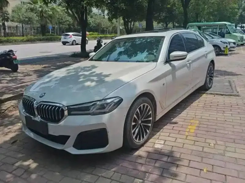 BMW 5 Series, 2019