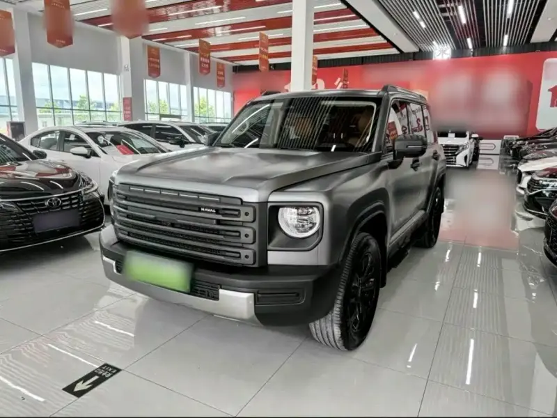 Haval Menglong New Energy, 2025