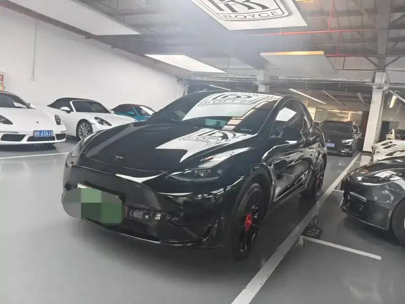 Tesla Model Y, 2024