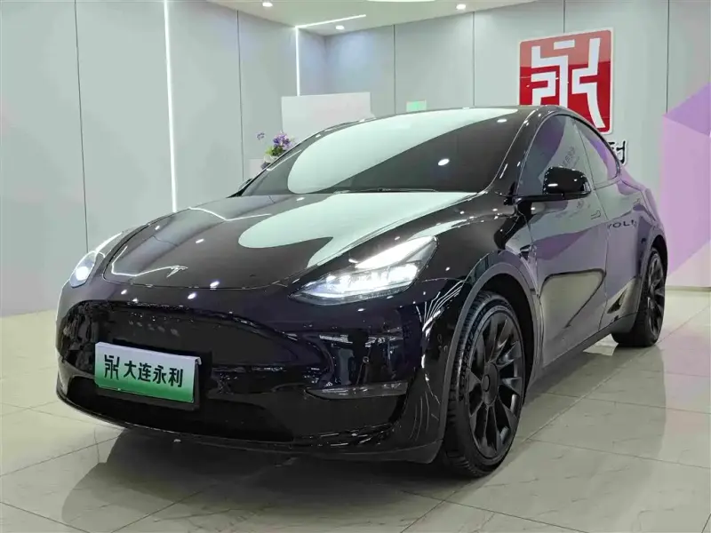 Tesla Model Y, 2021