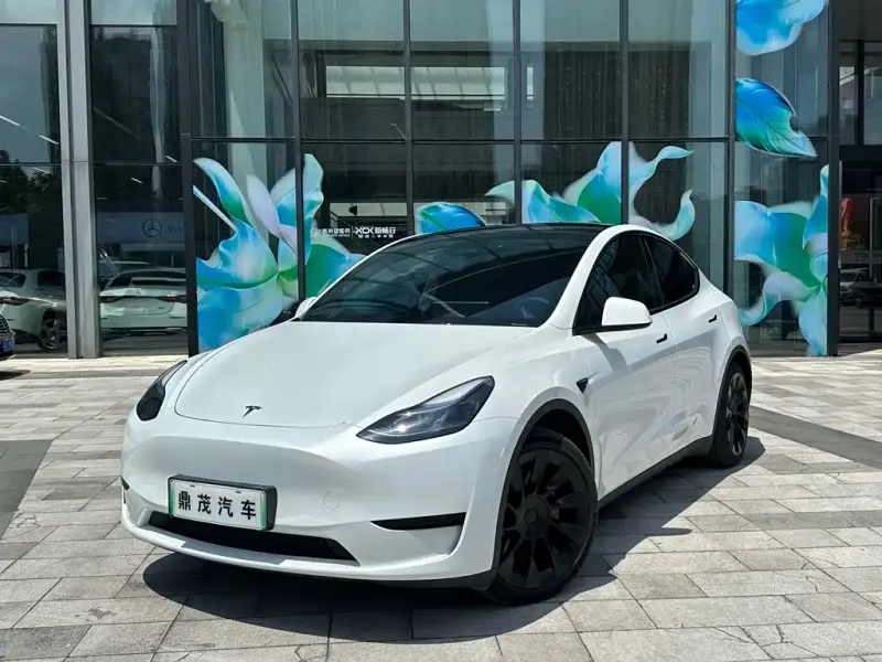 Tesla Model Y, 2024