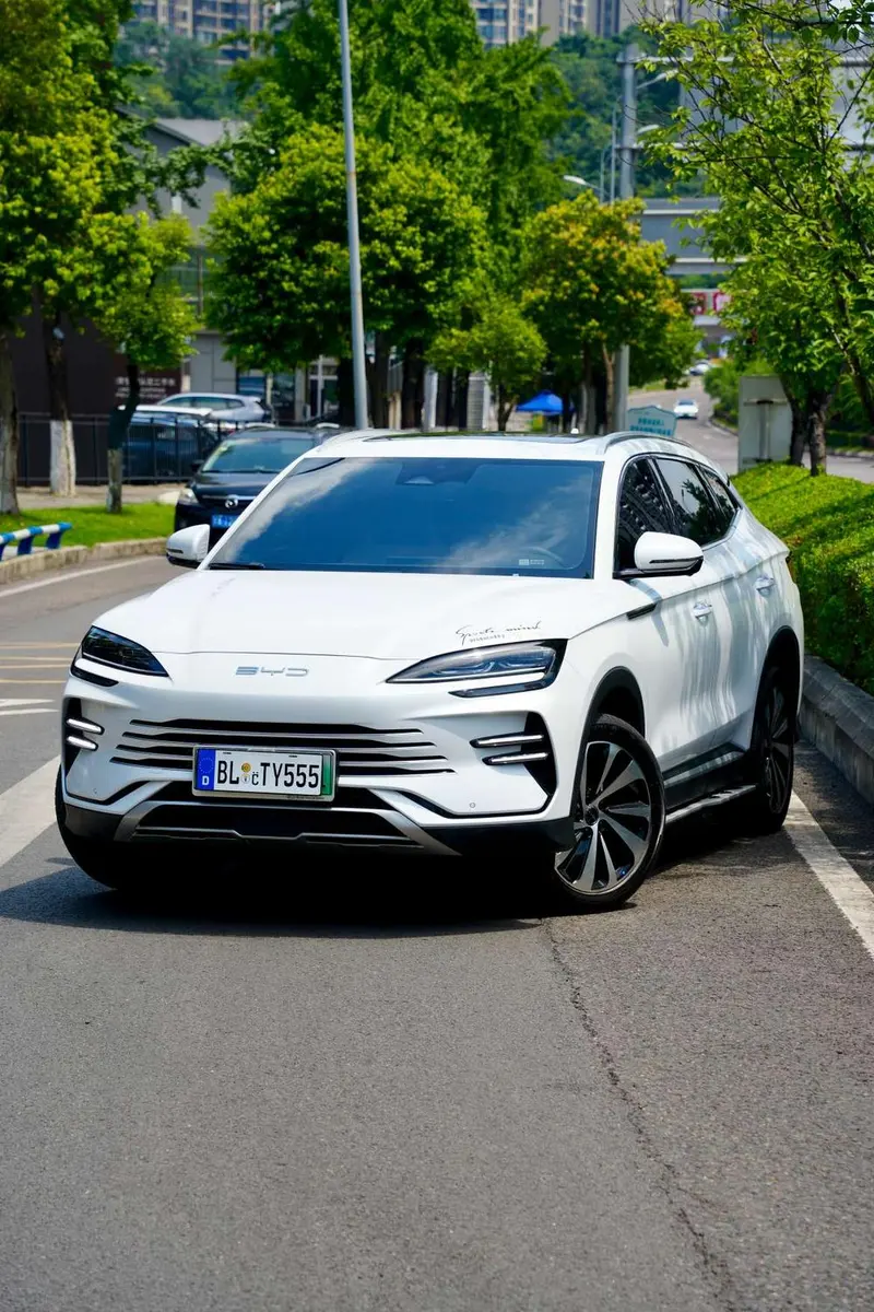 BYD Song PLUS DM, 2024