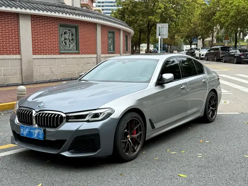 BMW 5 Series (Import), 2021