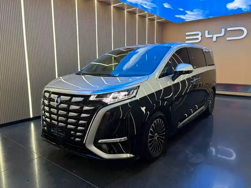 Denza D9, 2024