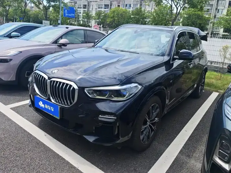 BMW X5 New Energy (Import), 2021