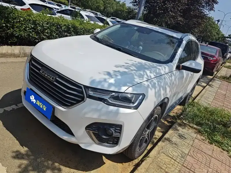 Haval H4, 2020