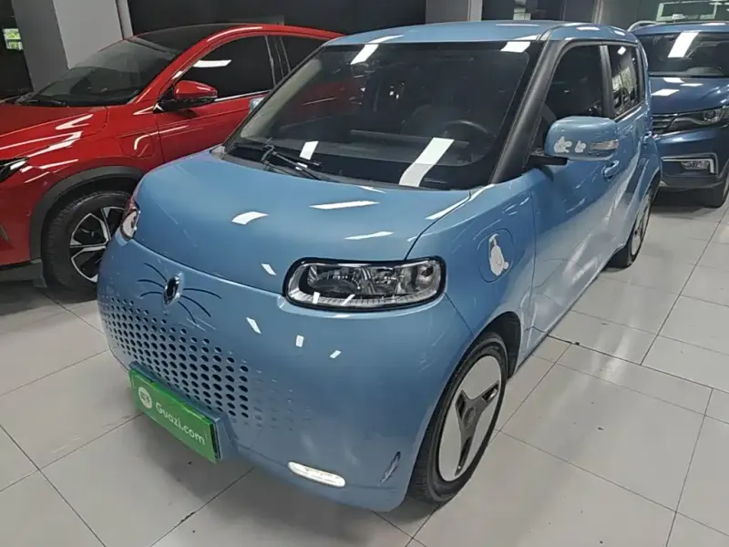 Ora White Cat, 2021