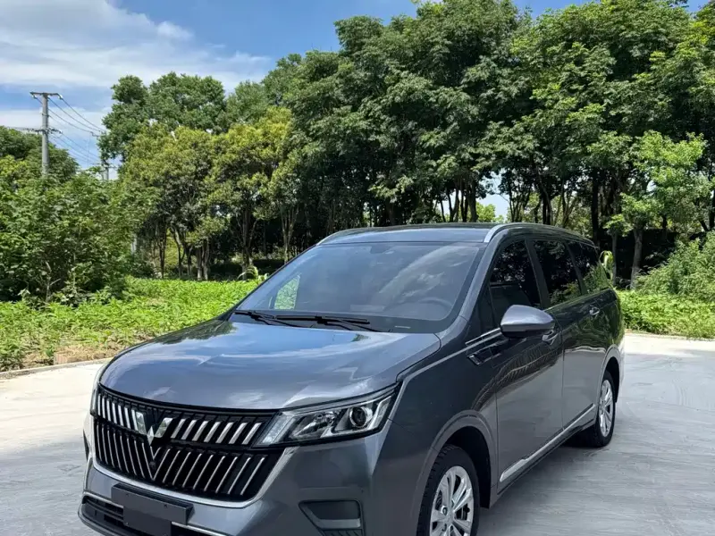 Wuling Jiachen, 2023