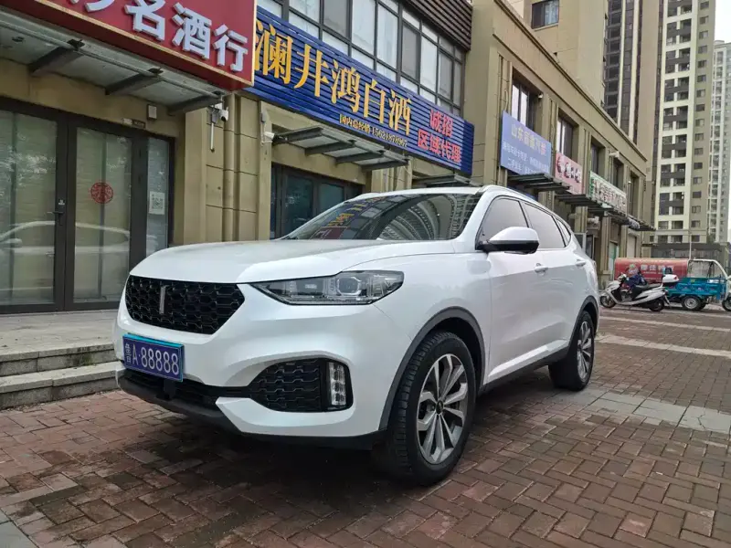 Wey VV6, 2019