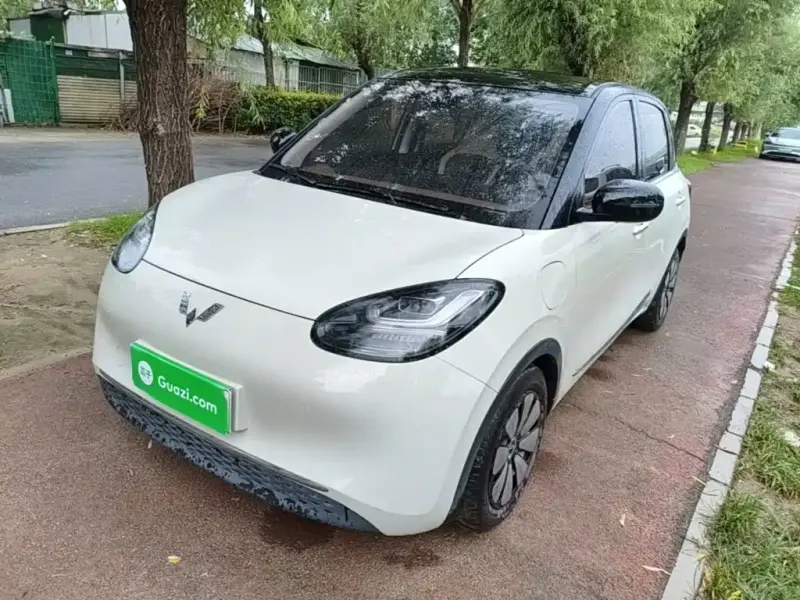 Wuling Bingo, 2023