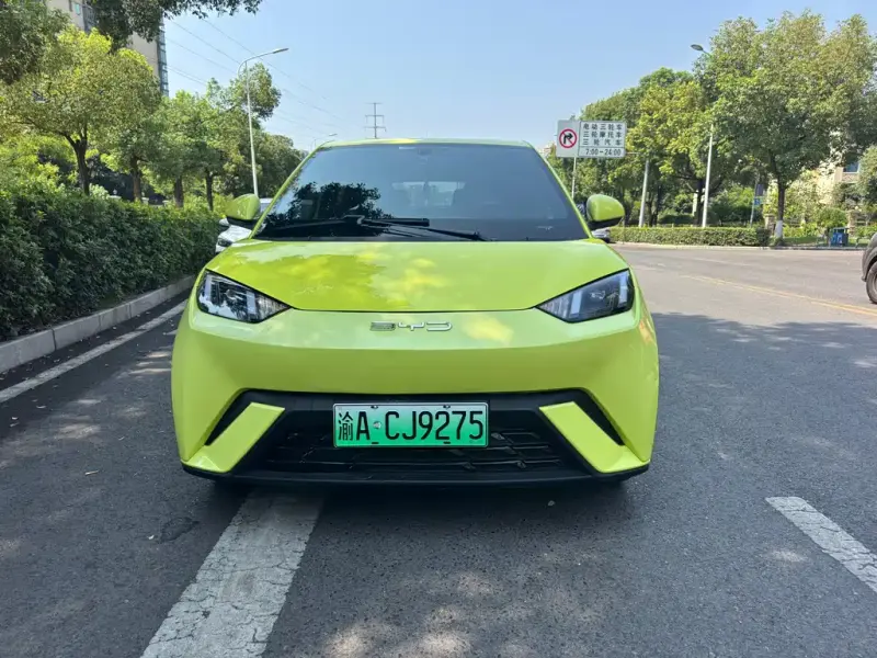 BYD Seagull, 2023