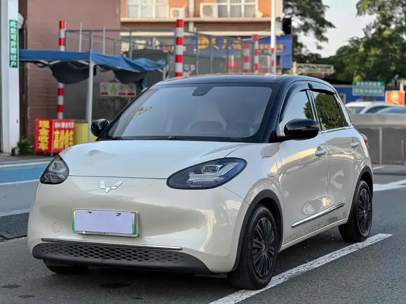 Wuling Bingo, 2023