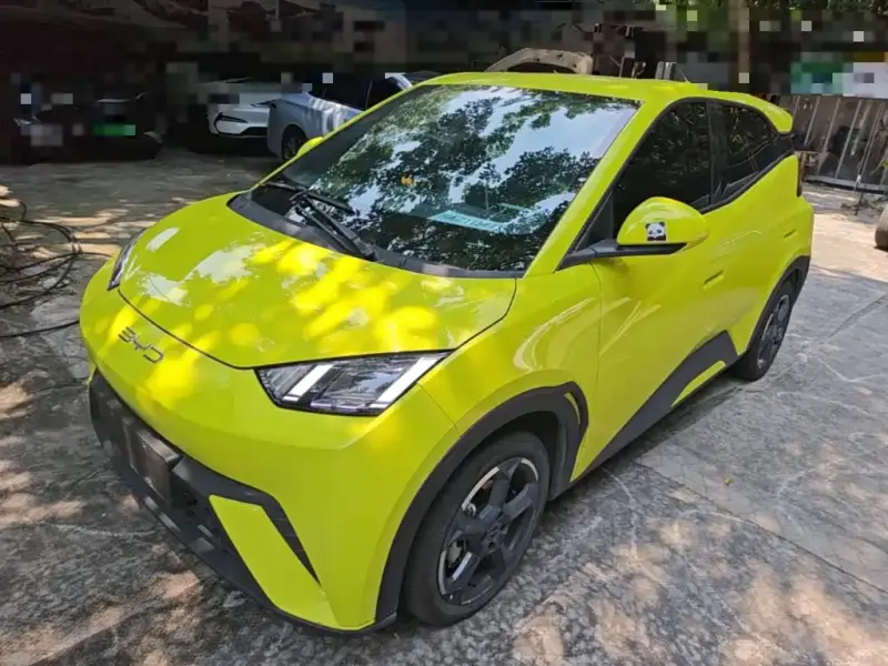 BYD Seagull, 2023